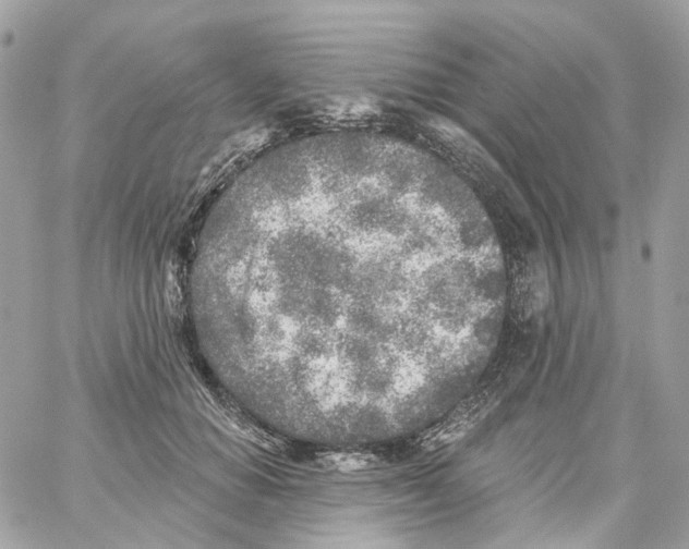 X0000059040654200511041638