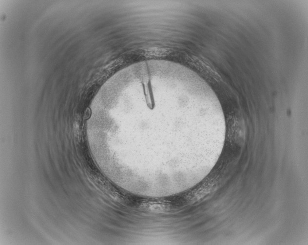 X0000059040655200511041638