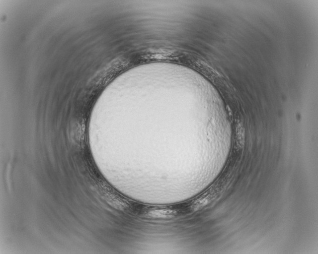 X0000059040657200511041638