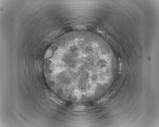 X0000059040658200511041638