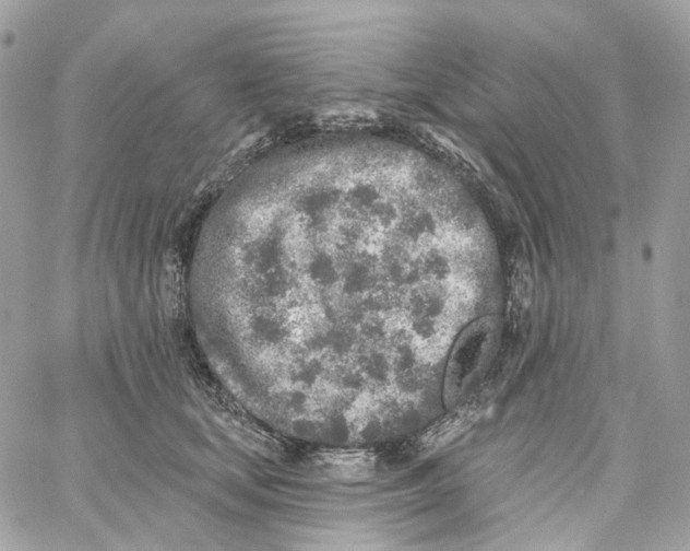 X0000059040659200511041638