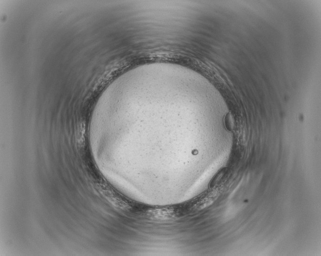 X0000059040660200511041638