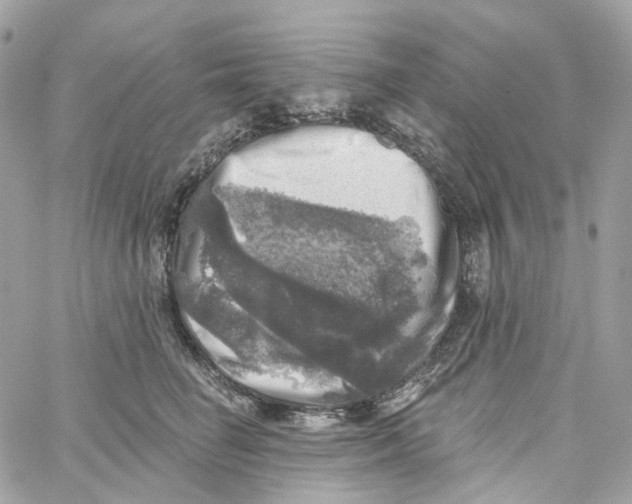 X0000059040662200511041638