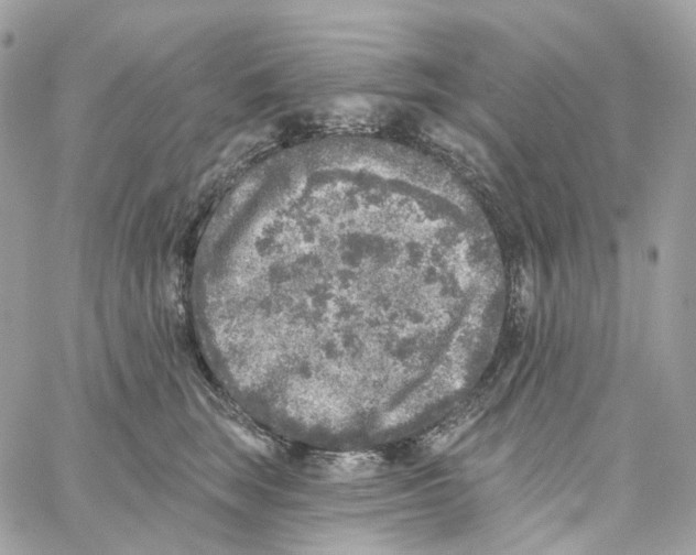 X0000059040663200511041638