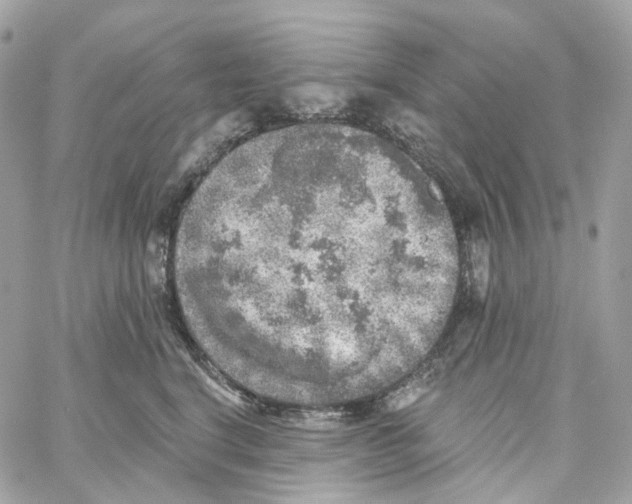 X0000059040664200511041638