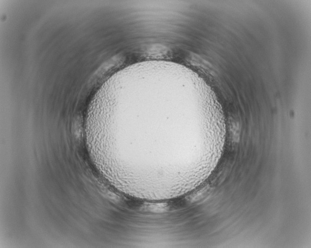 X0000059040665200511041638