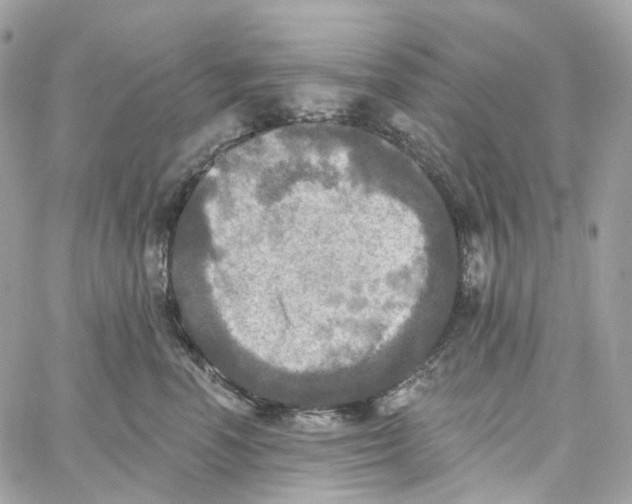 X0000059040666200511041638