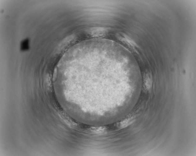 X0000059040667200511041638