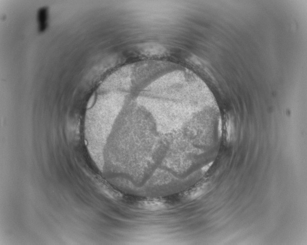 X0000059040668200511041638