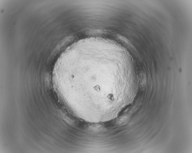 X0000059040669200511041638