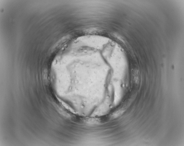 X0000059040670200511041638