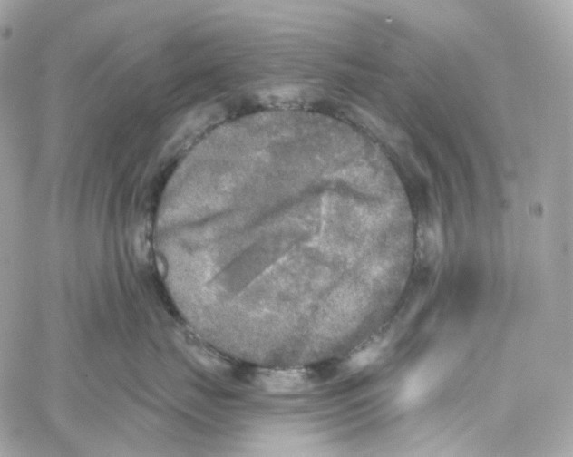 X0000059040671200511041638