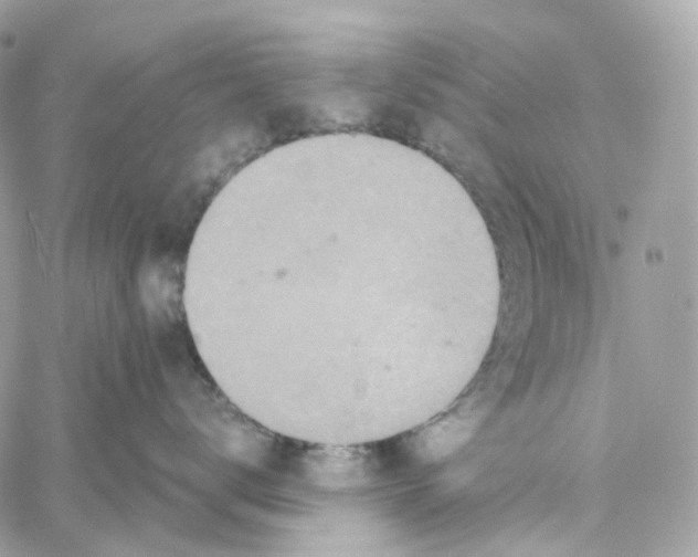 X0000059040672200511041638