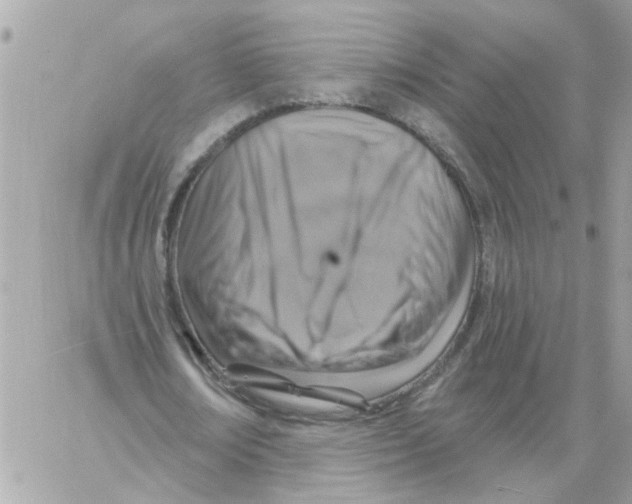 X0000059040674200511041637