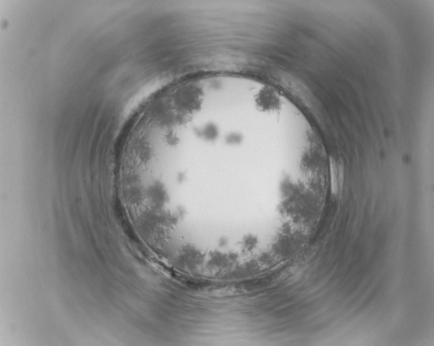 X0000059040675200511041637