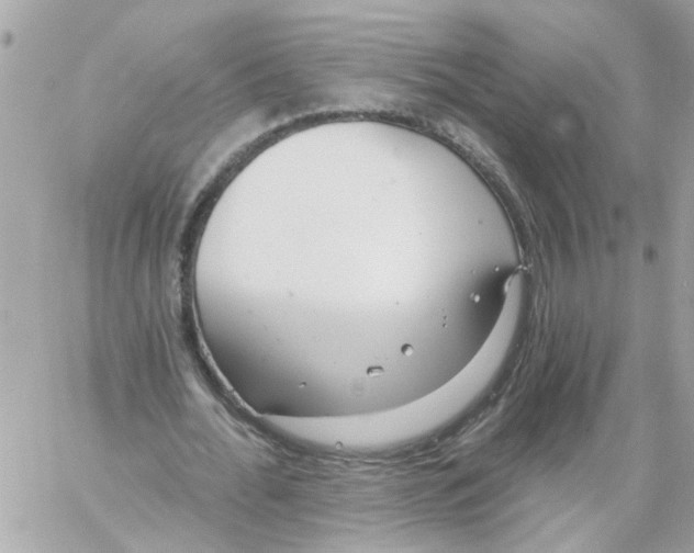 X0000059040676200511041637