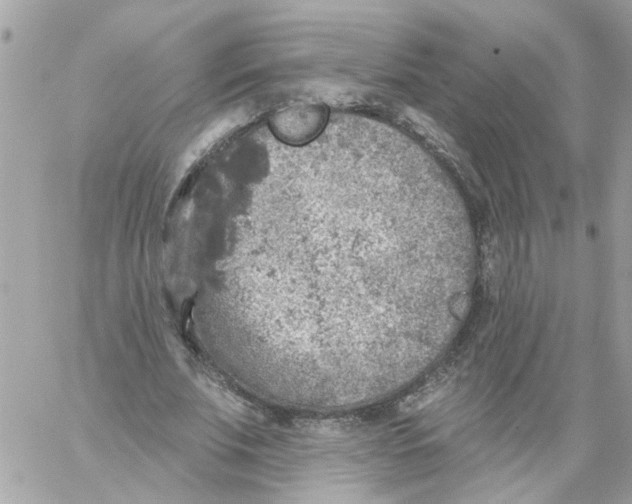 X0000059040679200511041637