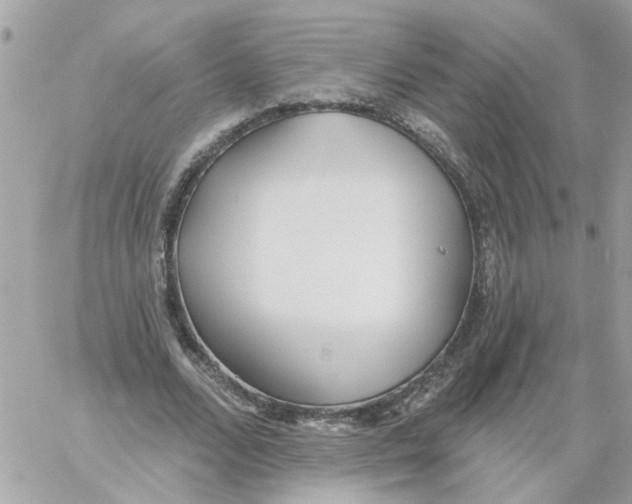 X0000059040680200511041637