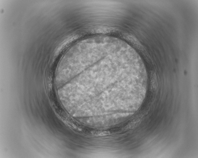 X0000059040683200511041637