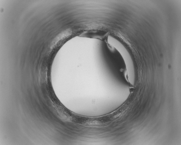 X0000059040685200511041637