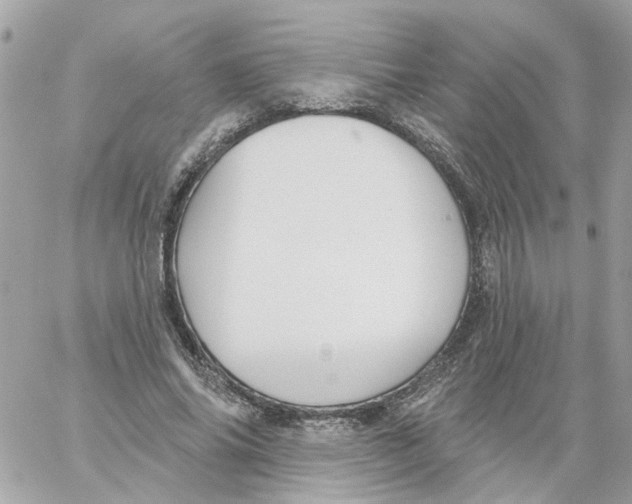 X0000059040686200511041637