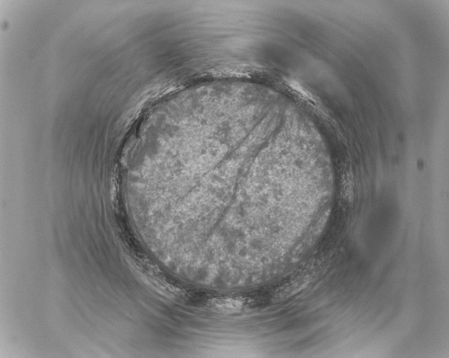 X0000059040687200511041637