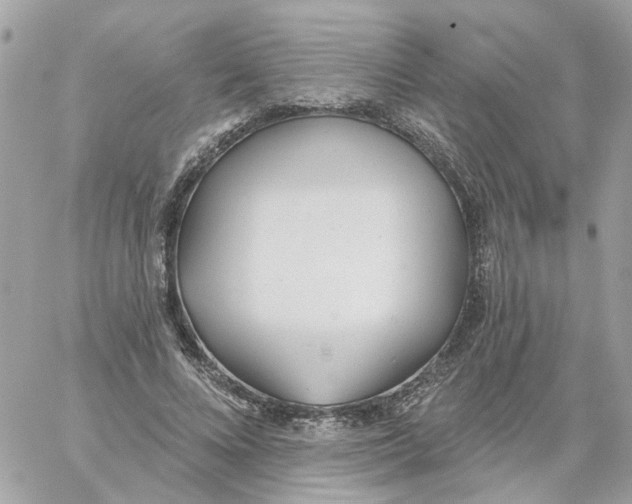 X0000059040688200511041637