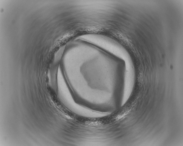 X0000059040689200511041637