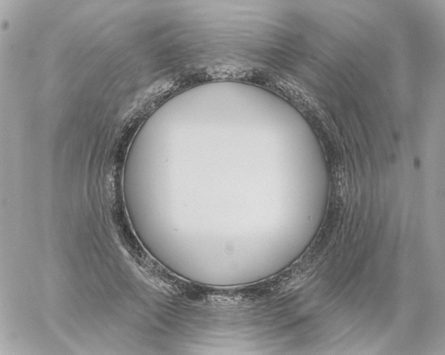 X0000059040690200511041637