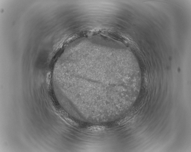 X0000059040691200511041637