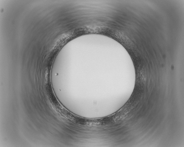 X0000059040694200511041637