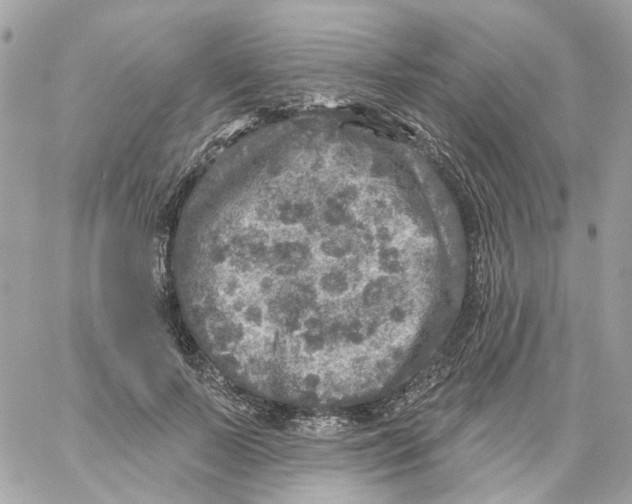 X0000059040695200511041637