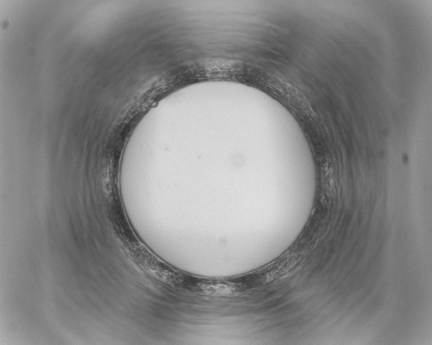 X0000059040698200511041637