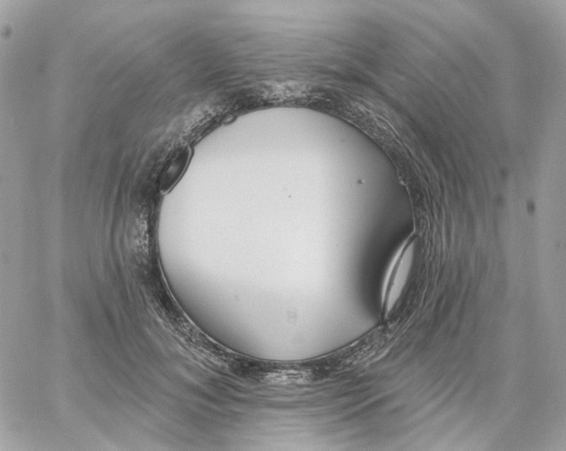 X0000059040700200511041637