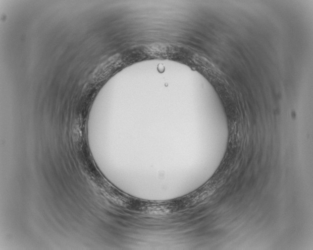 X0000059040702200511041637