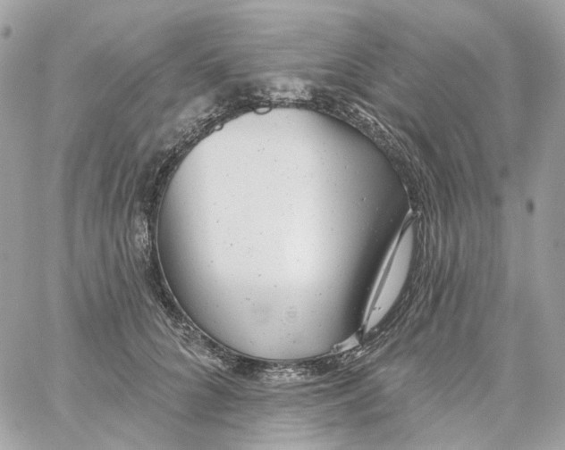 X0000059040704200511041637