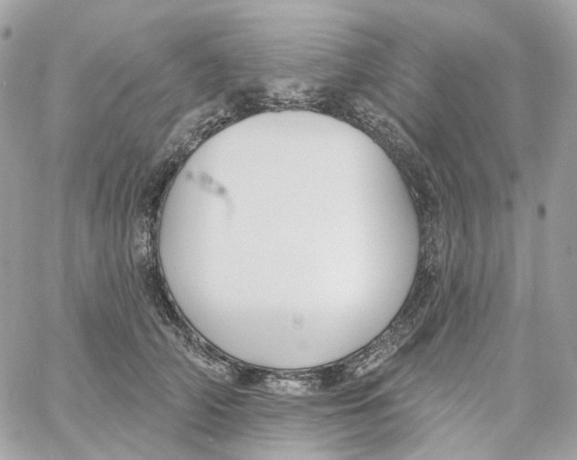 X0000059040706200511041637