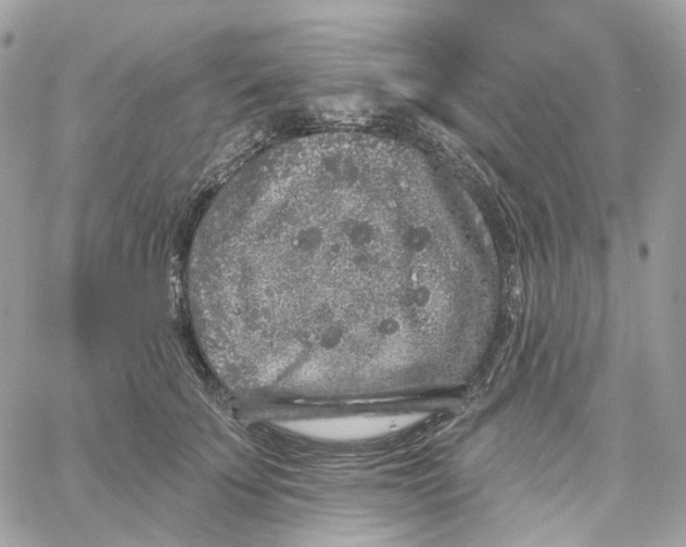 X0000059040707200511041637