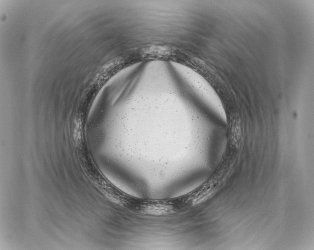 X0000059040708200511041637