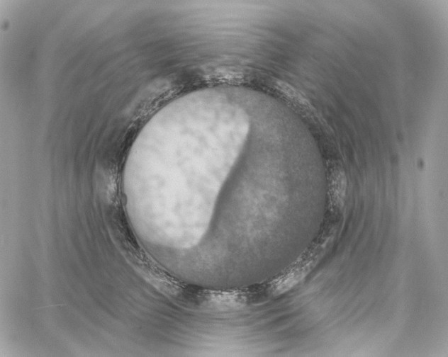 X0000059040709200511041637