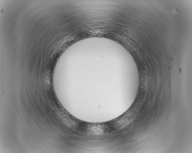 X0000059040710200511041637