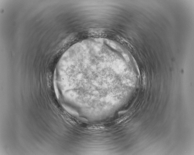 X0000059040712200511041637