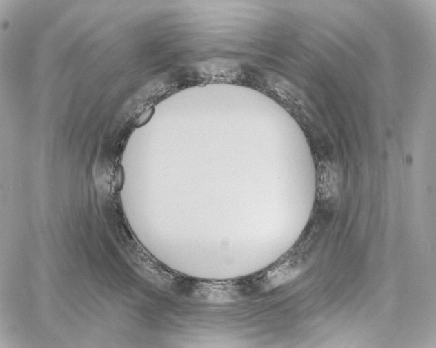 X0000059040713200511041637