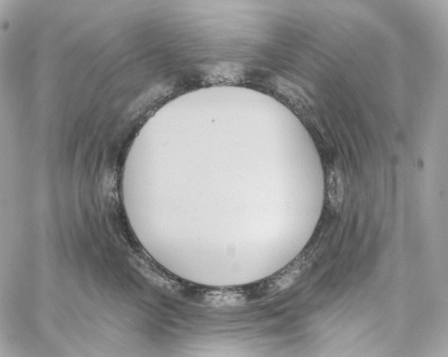 X0000059040714200511041636