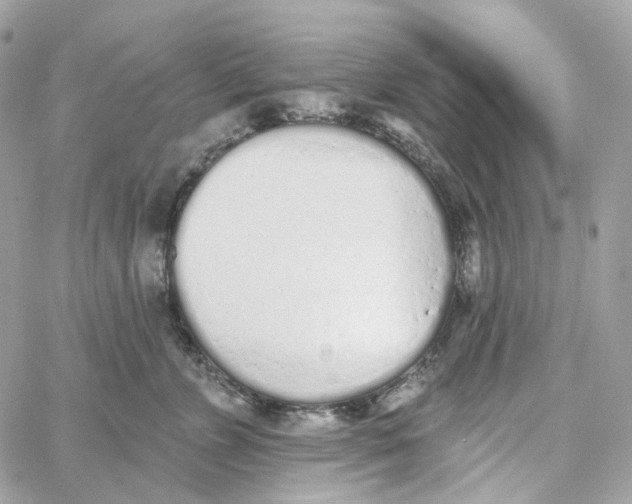 X0000059040715200511041636