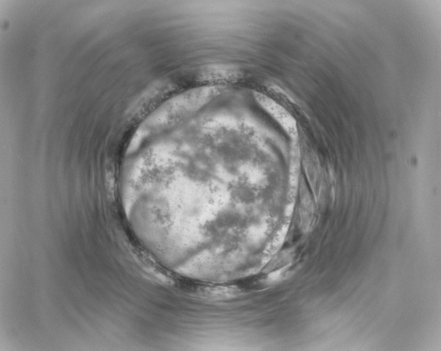 X0000059040716200511041636