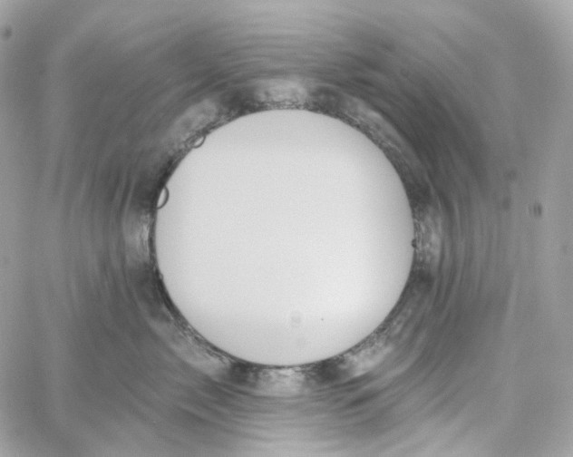 X0000059040717200511041636