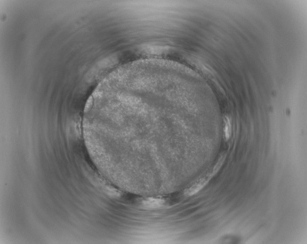 X0000059040718200511041636