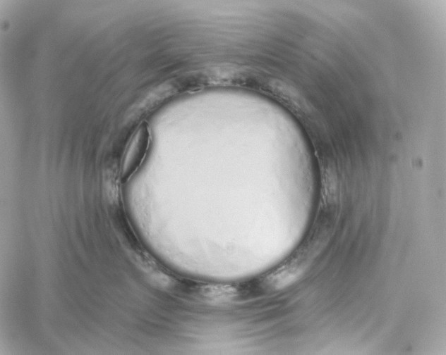 X0000059040719200511041636