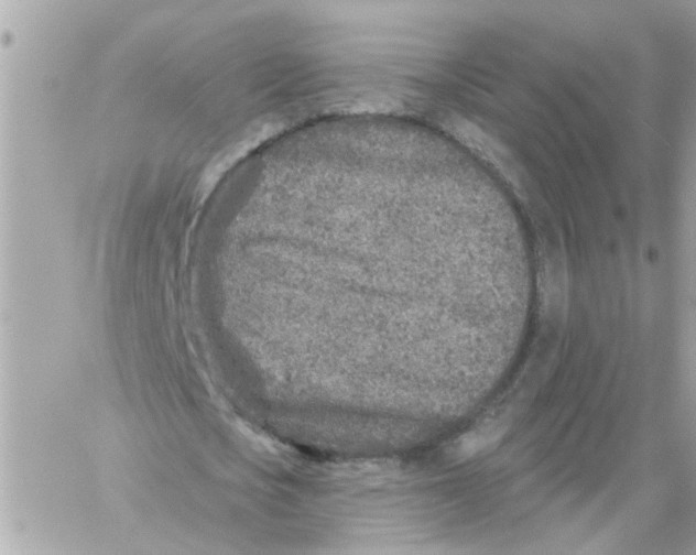 X0000059040721200511041636